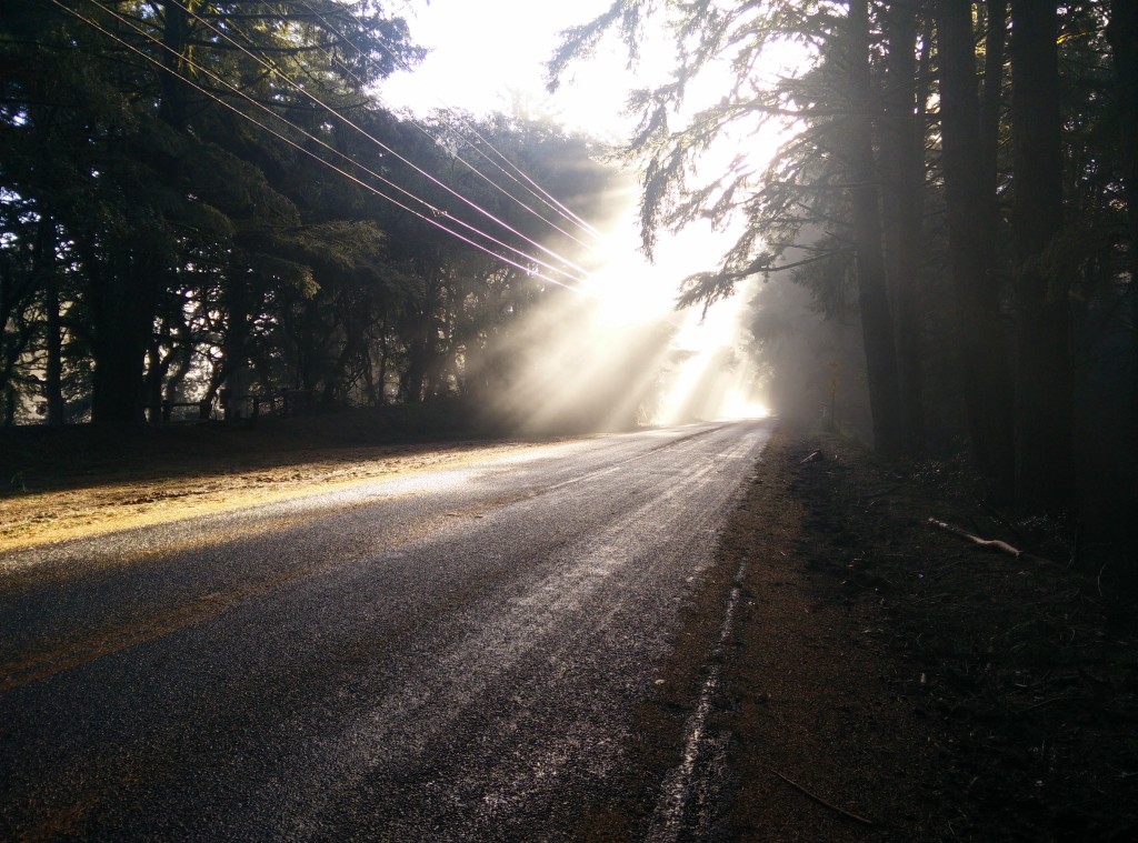 Sunbeams on Skyline 